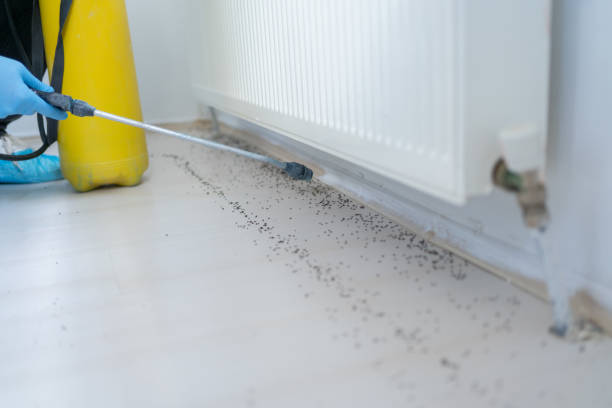 Best Pest Control Treatment  in Coopersburg, PA