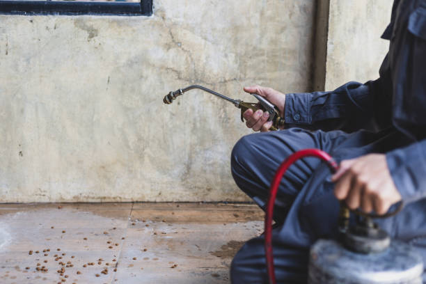Best Best Pest Control Companies  in Coopersburg, PA